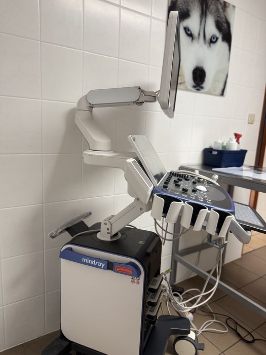 Zestaw weterynaryjny Mindray Vetus 7 (3 głowice, wózek)