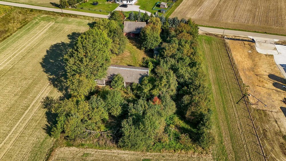 Siedlisko 2,05 ha przy asfaltowej drodze – prąd, woda, zabudowania | Wola Kuźniewska, gmina Wielgomłyny - Widok 2