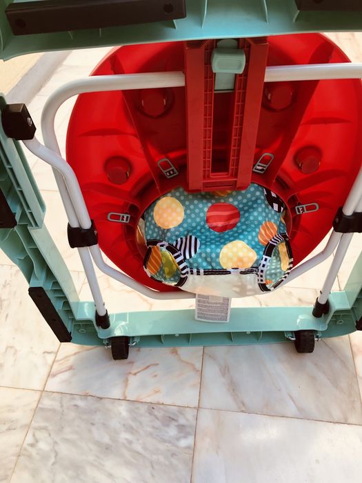 Aranha Bright starts Zippy