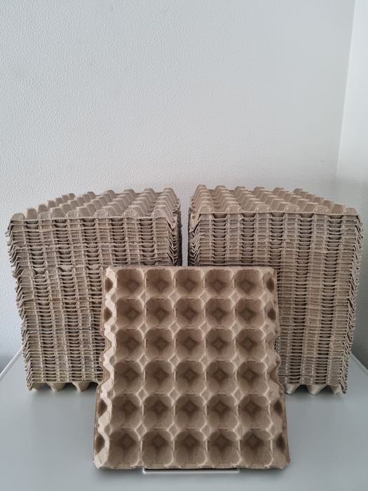 100 bandejas para ovos