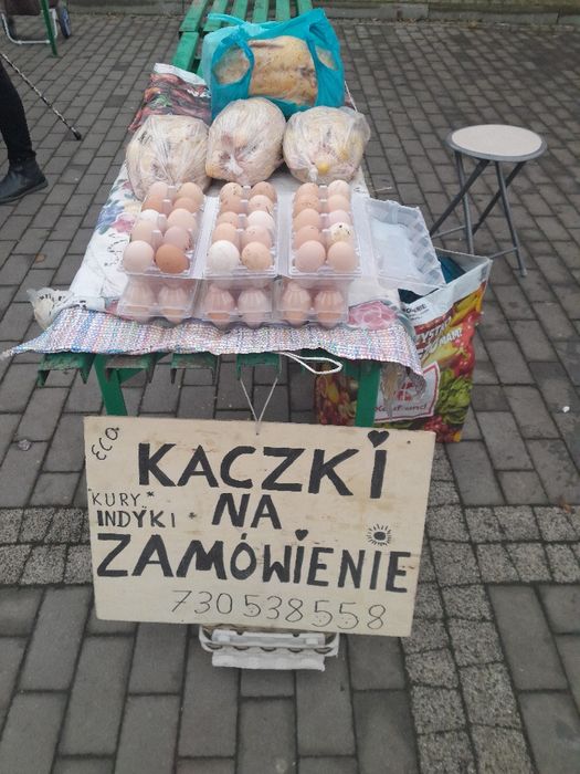 Jaja wiejskie 1,20zł.   kaczki. Indyki