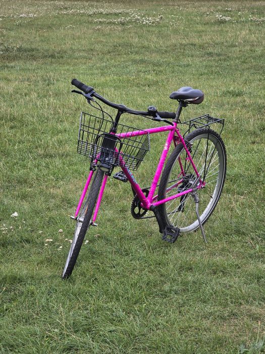 Kalkhoff Sting / Resto-mod / Commuter / Cargo / Klasyk Miejski / Turystyczny / Vintage