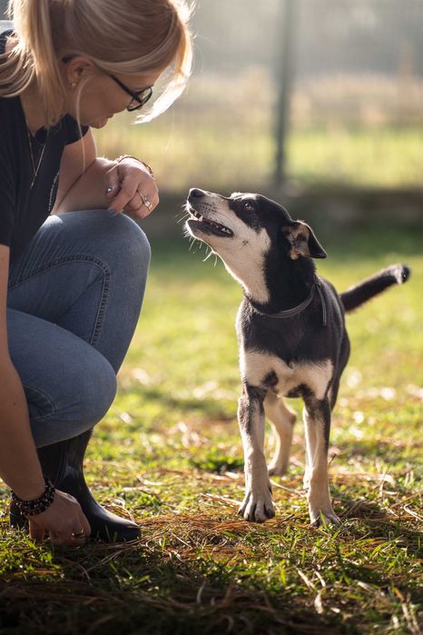 Młodziutki Rysiu szuka domu!