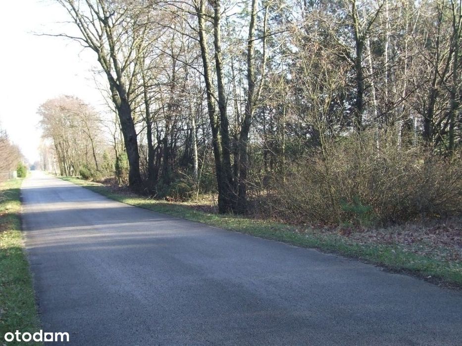 Sprzedam działki rekreacyjno - budowlane (3000m2)