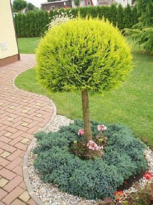 Весняний догляд за газоном та садом – скарифікація,підживлення,стрижка