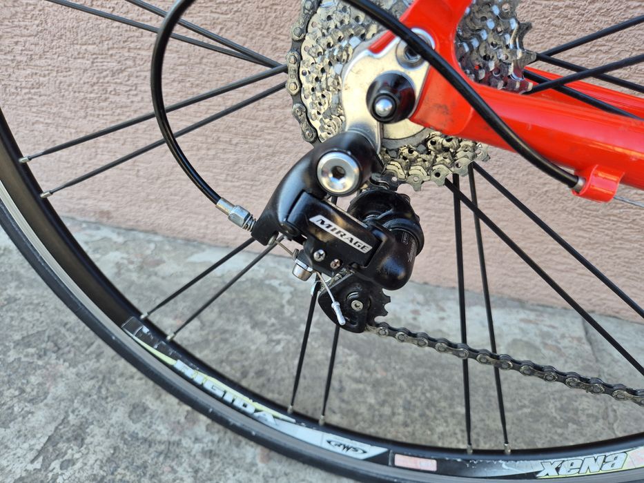 Rower szosowy Olympia, alu/carbon, Campagnolo