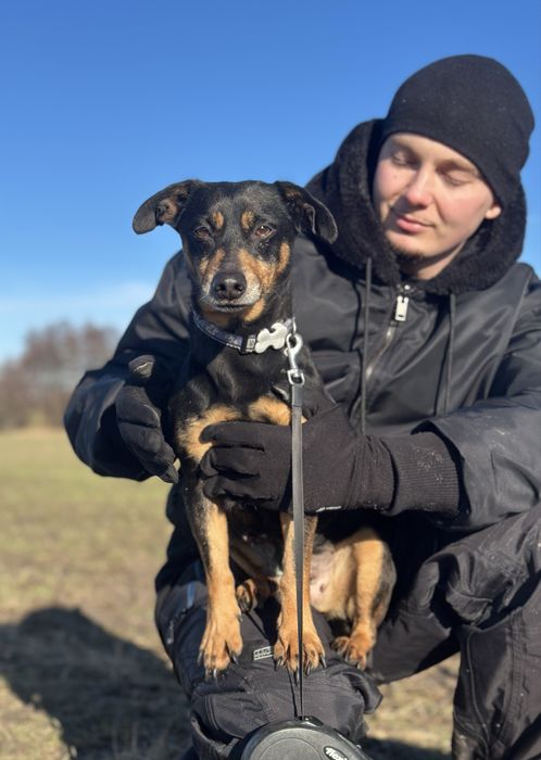 Niewielka Stefa szuka domu
