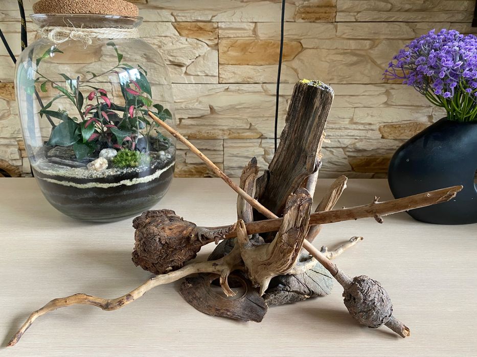 Hardscape korzenie aranżacja akwarium