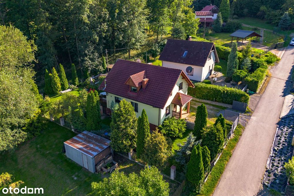 Wygodny dom w górach