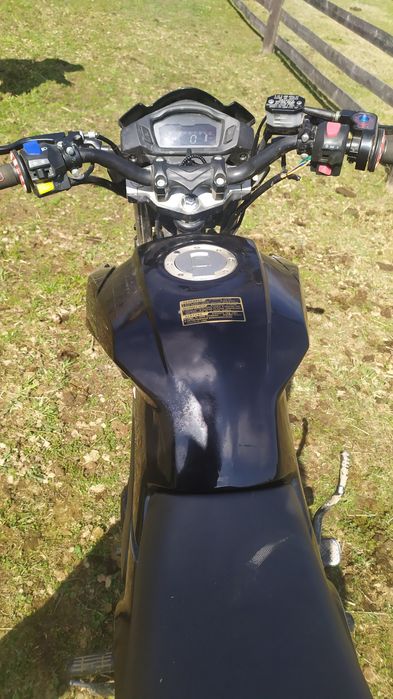 Мустанг фортуна 200