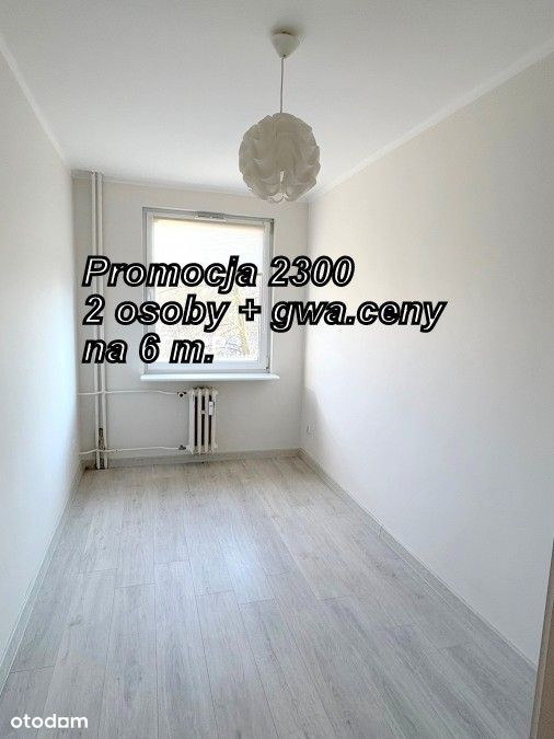 Na Wynajem 2 Pokoje W Centrum Starego Miasta