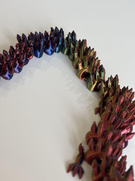 Dragao multicolor