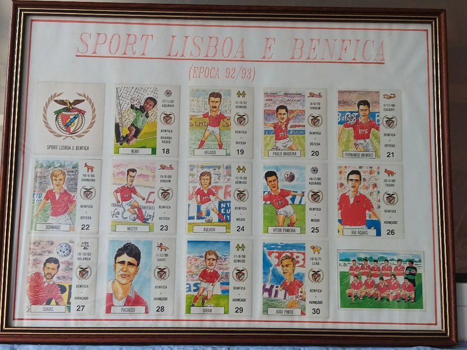 Lindo quadro com a equipa do Benfica de 92/93