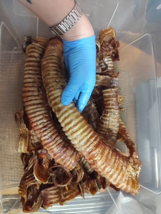 Сушені ласощі для собак та котів