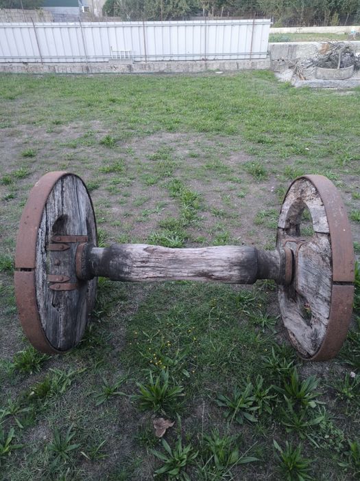 Roda carro de bois