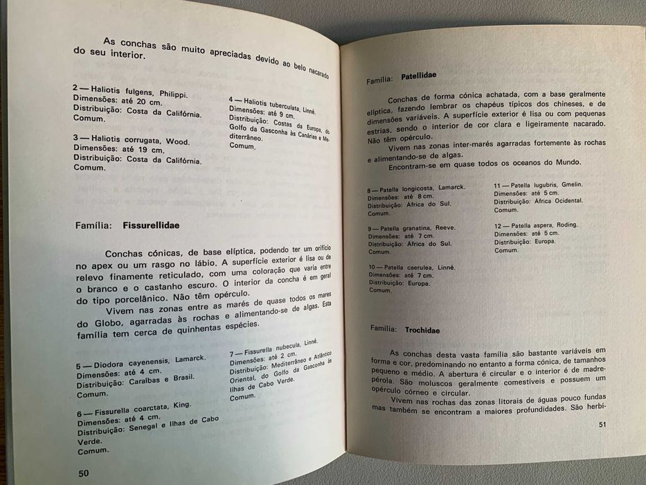 Introduction to Shell Collecting, by José A. Silva and Gil Montalverne64564408281603122