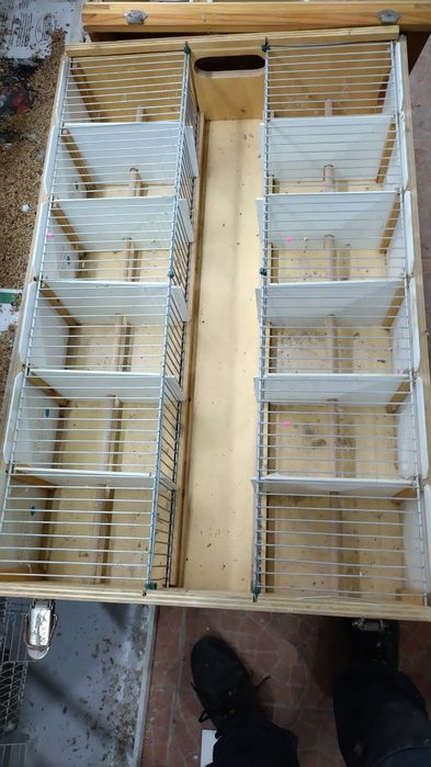 Transportadora de aves