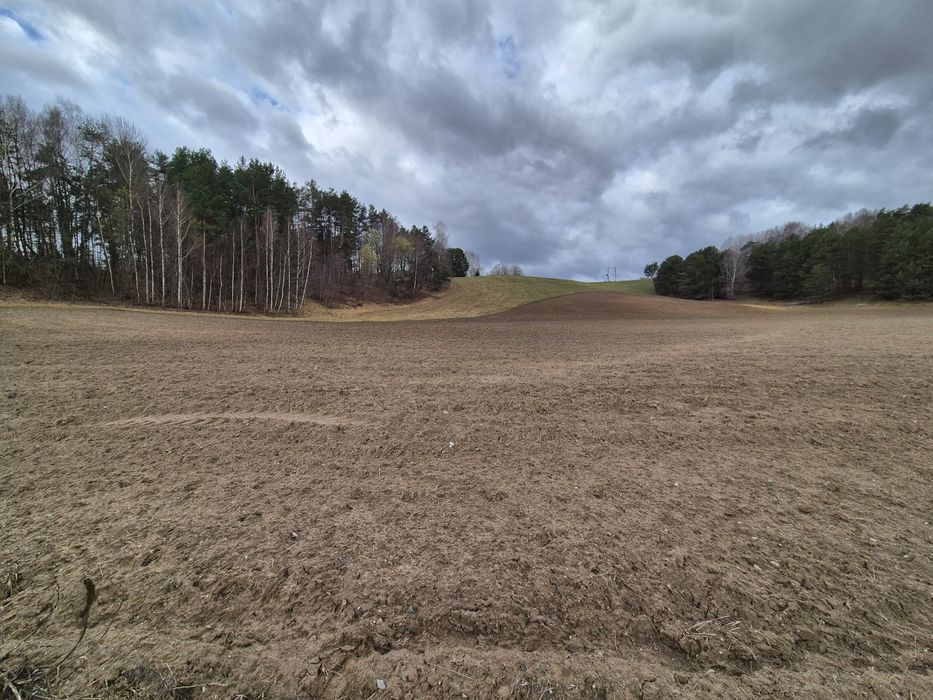Działka budowlana Suwalszczyzna - Widok 5