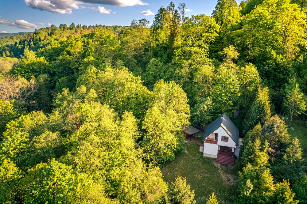 Nowoczesny dom w Bieszczadzkim lasie