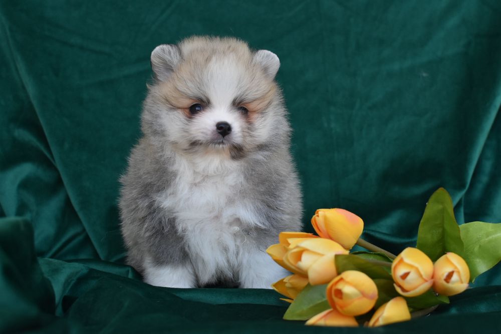 Дуже гарний хлопчик