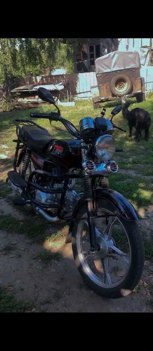 Альфа 125сс, є торг