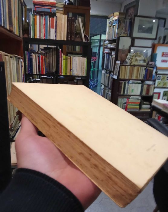 A Situação dos Médicos-Veterinários Municipais- Prof. Dr Afonso Queiró