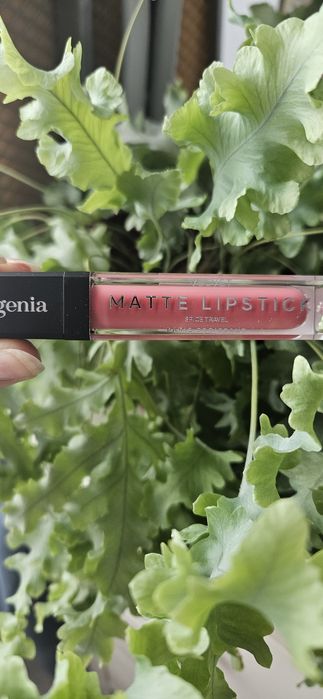 Пропоную Вашій увазі!