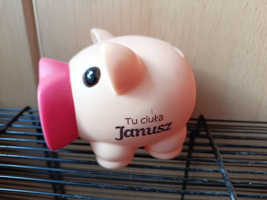 Skarbonka świnka świnka Tu ciuła Janusz