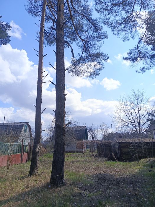 Продаж дачі вул.Кільцева СТ Івушка