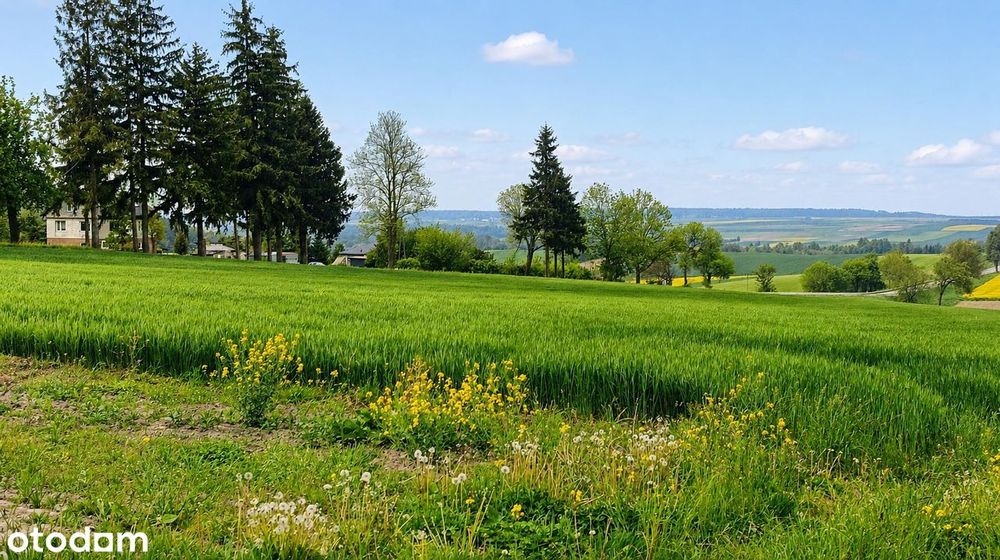 Wspaniała panorama każdego dnia | Działka budowlana 3010 m² Tarnawatka