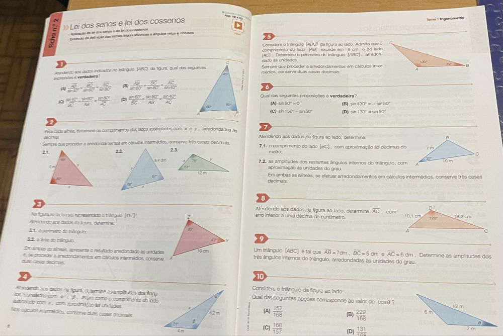 Livro de Apoio Escolar - Matemática 11º ano