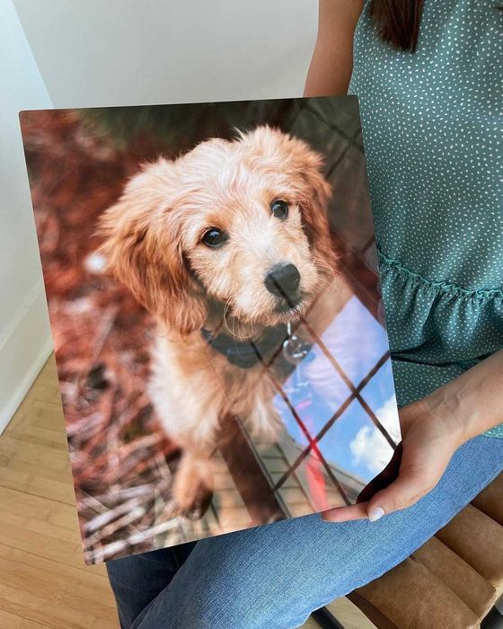 Картина з вашим фото на HD металі .