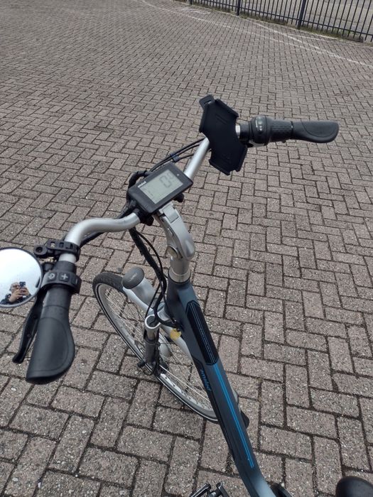 Rower elektryczny asmold hamilton