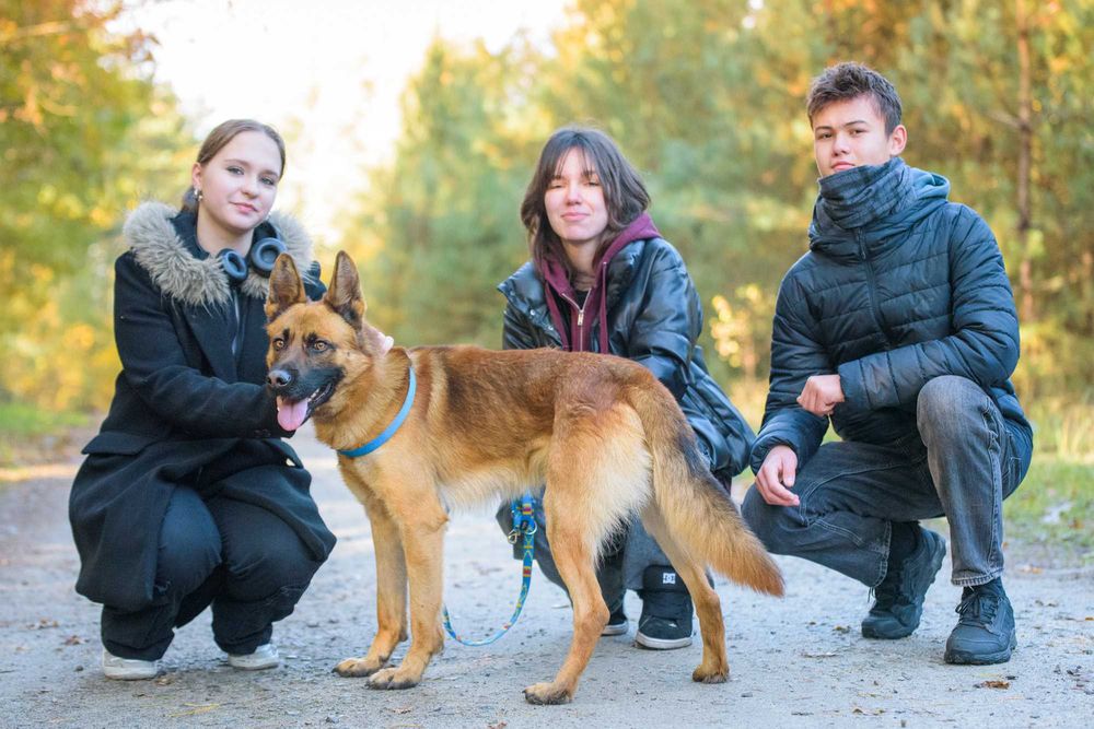 PAKER - wymagający kawaler w typie ON pomieszany z Malinois