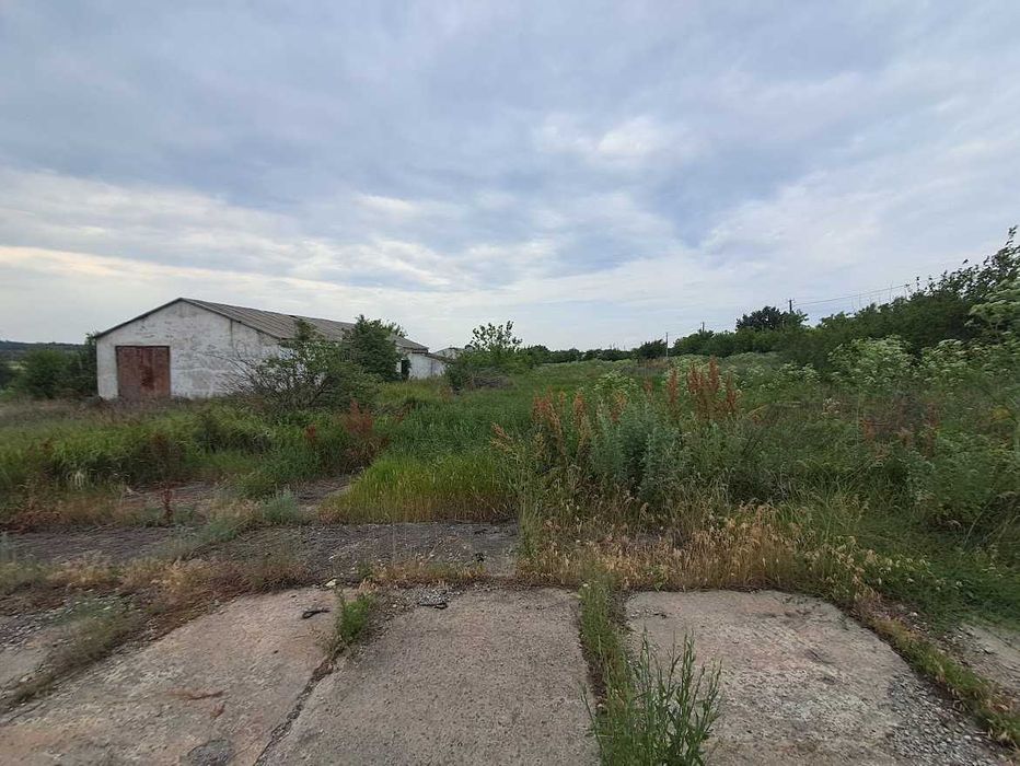 Комплекс птицефабрики/Солнечные батареи/Зернохранилище