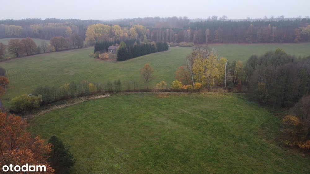 Działki budowlane w miejscowości Mosina gm. Witnica
