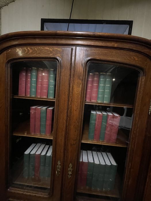 Biblioteka witryna  dębowa