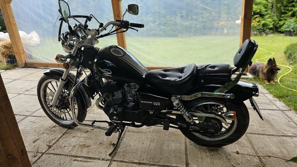Motocykl Zipp Raven Lux 125 Chopper na kat. B