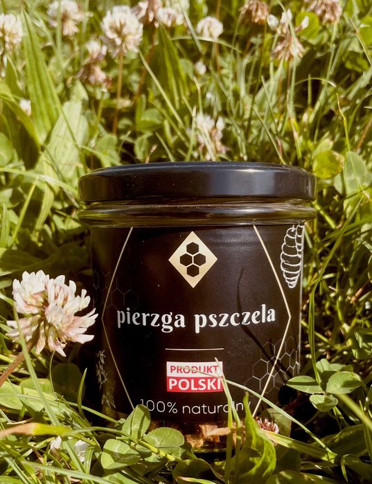 Pyłek pszczeli Pierzga