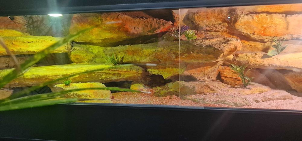Sprzedam  Terarium 150 cm