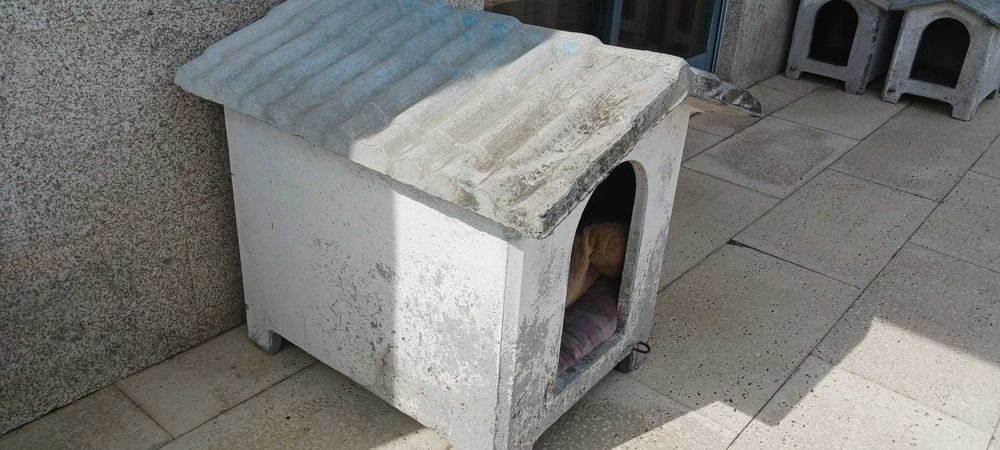 Casota em cimento perfeito para cão médio/grande