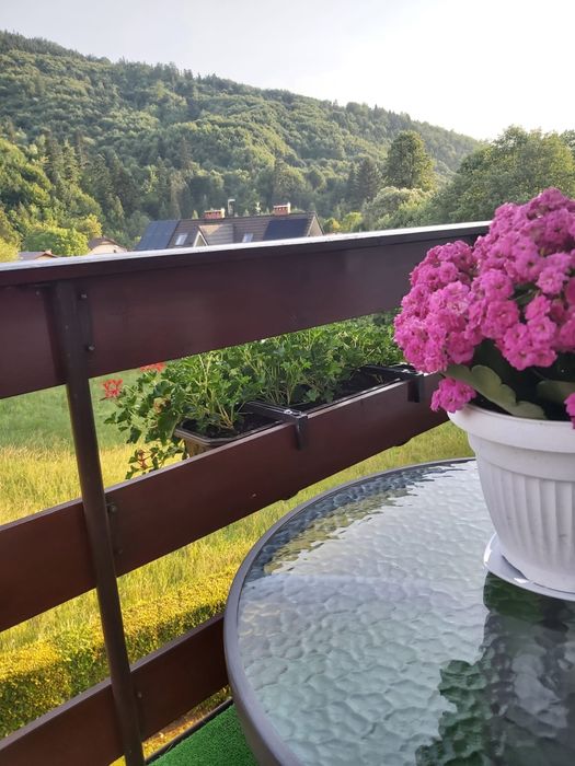 Noclegi" Brenna U Podnóża Kotarza