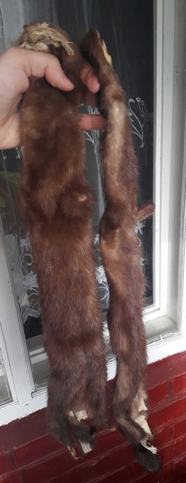 Хутро норки, натуральне. Нове. Дуже красиве, світло-горіхове