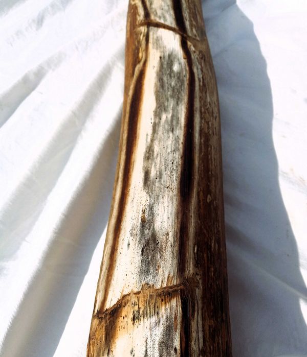 Didgeridoo—a unique and magical instrument.64176316125441124