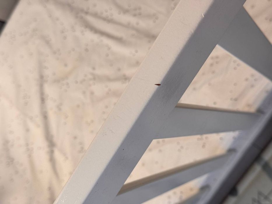 Дитяче ліжечко верес з маятником