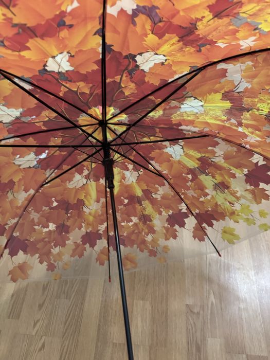 Зонтик полупрозрачный