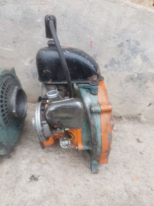 Мотор бензопили дружба