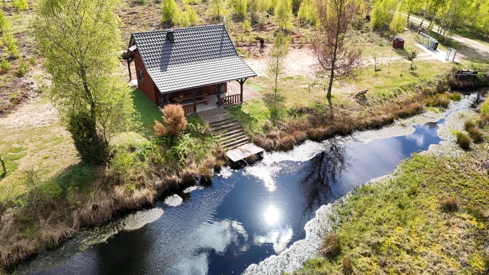 Bory Tucholskie Domek i dz. 1,5ha z lasem - wynajem na wyłączność