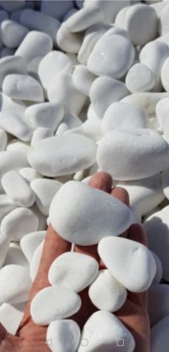 Kora kamienna, kamień ozdobny biały od 250 zł