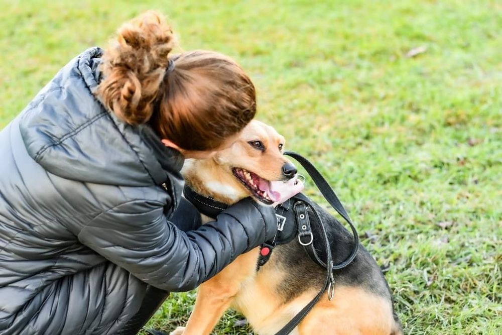 Urocza Inka prosi o Dom! Czy ktoś ją pokocha? Grozi jej schronisko...